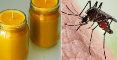 Aprende a hacer velas caseras ANTIMOSQUITOS