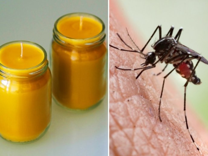 Aprende a hacer velas caseras ANTIMOSQUITOS